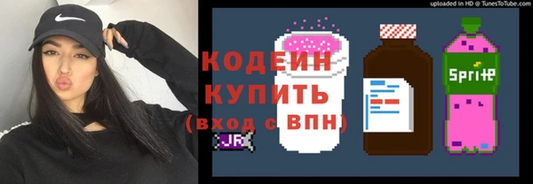 мяу мяу мука Арсеньев